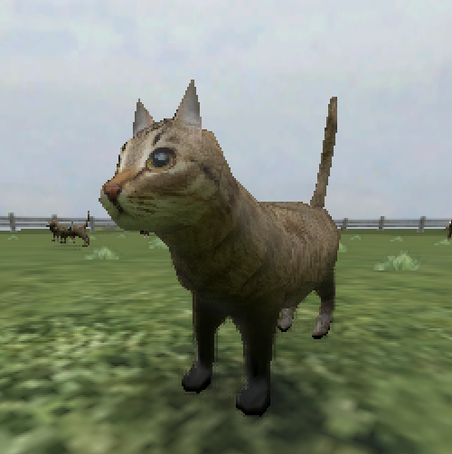 Crazy Kitty 3D